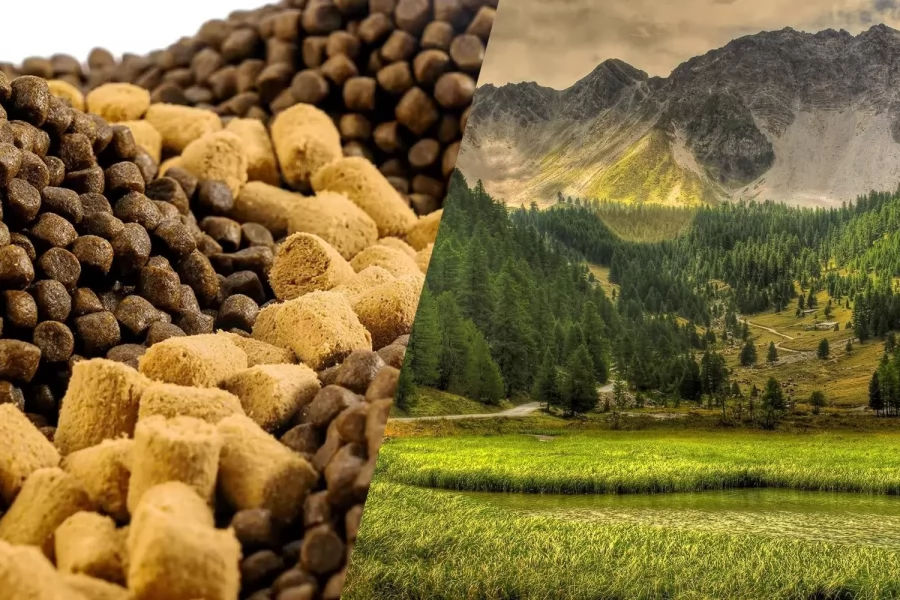 35 Yıllık Tecrübeyle İzmir’de Yeni Bir Dönem