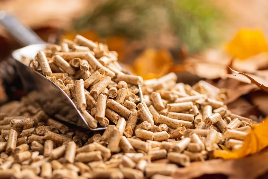 Pelet Enerjisi Nedir? Neden Geleceğin Enerji Kaynağıdır?